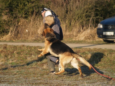 The christmas training 27.12.2006